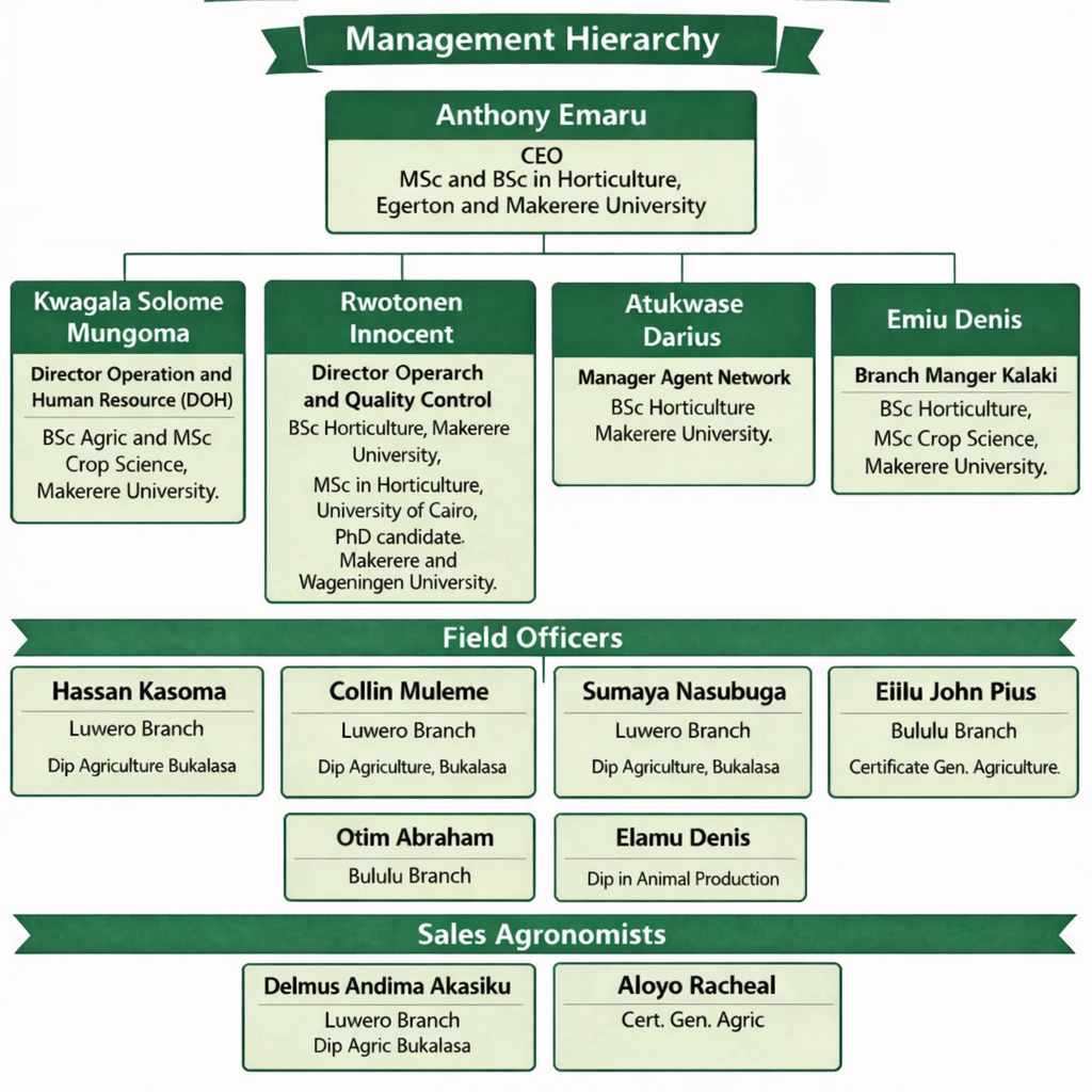 Management Hierarchy